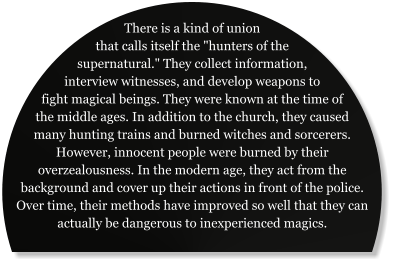 There is a kind of union that calls itself the "hunters of the supernatural." They collect information, interview witnesses, and develop weapons to fight magical beings. They were known at the time of the middle ages. In addition to the church, they caused many hunting trains and burned witches and sorcerers. However, innocent people were burned by their overzealousness. In the modern age, they act from the background and cover up their actions in front of the police. Over time, their methods have improved so well that they can actually be dangerous to inexperienced magics.