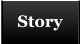 Story