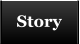 Story