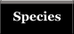 Species