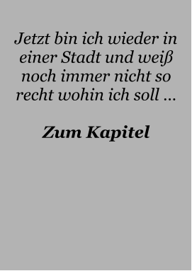 Jetzt bin ich wieder in einer Stadt und weiß noch immer nicht so recht wohin ich soll …  Zum Kapitel